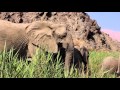 NATUCATE – Protecting Desert Elephants in Namibia