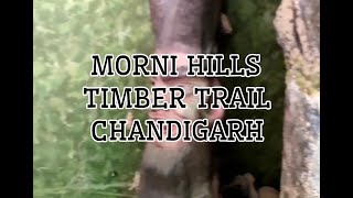 Chandigarh to Morni Hills | CTU | Siddharth Chugh