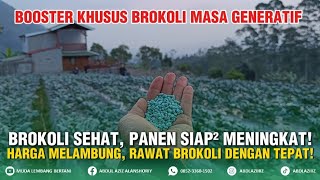 3 BOOSTER KHUSUS AKAR, BATANG, & DAUN || Menanam Brokoli