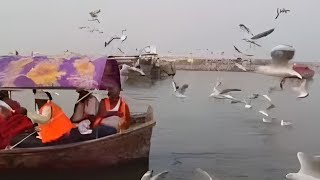 गंगा यमुना सरवसती संगम ll प्रयागराज ll Triveni sangam allahabad @Namastecity