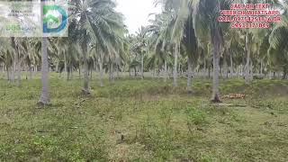 VLOG #81 PROPERTY NA FLATLAND SA SAN ANDRES QUEZON (see description)