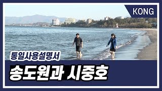 [통일사용설명서] 31화 송도원과 시중호