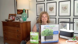 How to Use Hydroponic Containers