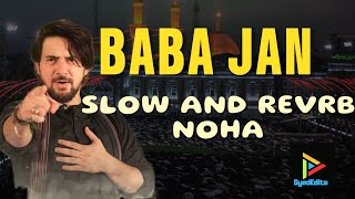 Baba Jan [ Slow @Reverb  ]  Farhan Ali Waris  - New Noha  |  SyedEdits