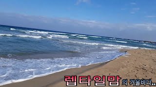 밀웜을 키워보자..  꼰지라워서 영~ㅎㅎ 키우기가 쉽지 않아요!! 미세먼지 많은오늘 쾌청한 바다와 파도소리 맨 마지막에 올렸습니다