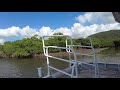 （手付かずの大自然に感動！）仲間川マングローブクルーズに参加して来ました！ mangrove cruise at nakama river