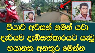 මාර්ගයේ ගමන් කළ යතුරු පැදියක් මතට පොල් ගසක් වැටී  පුද්ගලයෙකු අවසන් ගමන් යයි - sad news sinhala