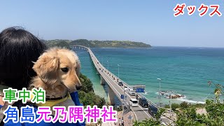 車中泊で絶景の角島・元乃隅神社へ行ったよ！ ミニチュアダックスフンド １歳【ちゃんねるナッツ】vol.159