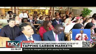 President Ruto calls for rethink of global carbon credit markets