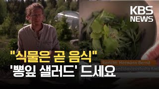 [글로벌K] 스웨덴의 ‘숲속의 식용 정원’ 인기 / KBS 2021.07.14.