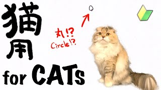 【猫用動画】初心者のアニメーション /【VideoForCats】Animation Beginner