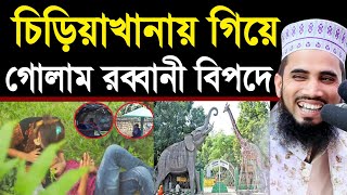 চিড়িয়াখানায় বেড়াতে গিয়ে গোলাম রব্বানী হুজুর বিপদে ! Golam Rabbani Bangla Waz 2020 Islamic Waz Bogra