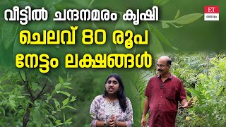 Sandalwood Farming: ചന്ദനമരം ഒരു പെൻഷൻ സ്‌കീം ആണ്!