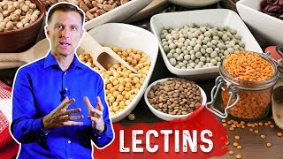 Reduce Lectins for Autoimmune Conditions – Immune System & Foods High In Lectins – Dr.Berg