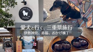 愛犬と行く三重県旅行！クリスマス、伊勢神宮、赤福、おかげ横丁【ミニチュアダックスフンド】