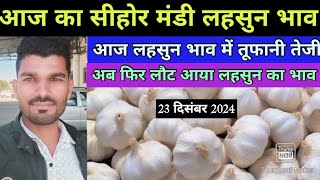 23 दिसंबर 2024 सीहोर मंडी लहसुन भाव today MP Sehore Mandi garlic price।