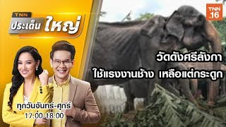 แฉ!!วัดดังศรีลังกา ใช้แรงงานช้าง เหลือแต่กระดูก | TNN  ประเด็นใหญ่ | 14 ส.ค.62