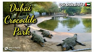 Dubai Crocodile Park 2024|Crocodile Park Detail Tour with Adventures #bengalivlog #dubaitravelvlog