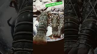 এই লবস্টার টি কতো বরো দেখো🦞🦞🦞 #shortsvideo #lobster