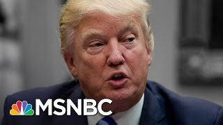 Mitch McConnell: President Donald Trump 'Is Learning The Job' | The 11th Hour | MSNBC
