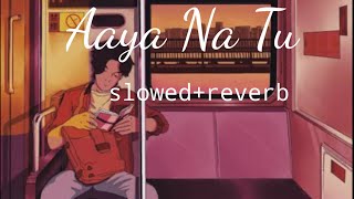 Aaya Na Tu ( Slowed+Reverb ) Arjun Kanungo Momina Mustehsan Lofi Song