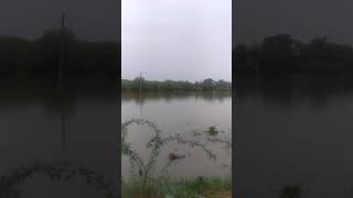 Heavy rainfall in jaipur rajasthan