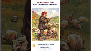 Разминка для глаз: куда спряталась собака?