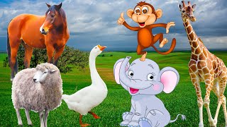 Habitat of animals: Horses, ducks, sheep, elephants, monkeys, giraffes - animal sounds Part 8