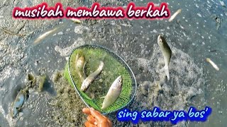 Musibah membawa berkah