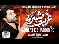 Nohay 2024 | Gurbate Shabbir Pe | Tasawar Abbas Tashna | New Nohay 2024/1446