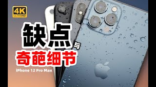 【4K】99%的人不知道iPhone 12 Pro Max的细节变化！全网最详细硬核评测特大杯！【老张】