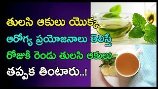 తులసి ఆకులు యొక్క  ఆరోగ్య ప్రయోజనాలు.. | Health Benefits of Eating Tulasi Leaves | Arogya Mantra