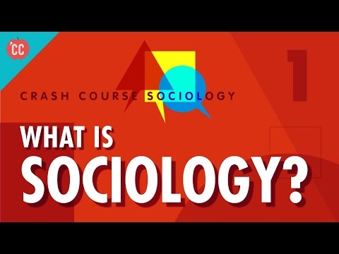 How does sociology help understand society?