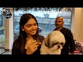 new pet grooming studio in palakkad പാലക്കാടിൽ തുടങ്ങിയ പുതിയ pet grooming parlour romsnracks