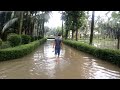 কোনো এক সময় কার্জনে ঝড়ো বৃষ্টি। enjoying rain at curzon hall. rain in dhaka university. april 2017.