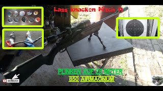 Lass knacken Mitch 11-  850 Aimagnum- Plinken auf 25 Meter