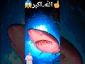 اللہ ھو اکبر😱☝️😱 @ibrahim_khan0 #allah #islam #shorts #youtube #video #fishing #trending #status s