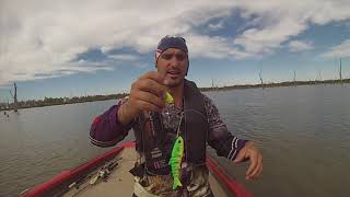 ZEREK LIVE MULLET lake mulwala