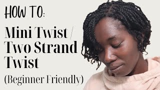 How to: Two strand Twists / Mini Twists (Simple Beginner Friendly Guide)