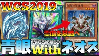 【WCS2019使用】ネオフュで霊廟を落として無限防御!!「ネオス青眼」の攻撃と防御が高すぎてヤバいw【遊戯王デュエルリンクス】