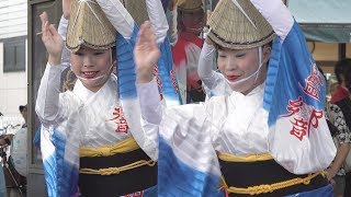 南越谷阿波踊り「藍響連」徳島市長賞 - 南越谷アンコール阿波踊り2019（2019.9.22）