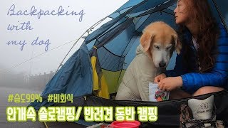 습도99%💦 안개속 디디와 백패킹⛺️Backpacking with my dog in fog + humidity 99%