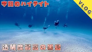 【ダイビングVlog】🏝️透明度抜群の黒島🐠癒されました〜😆