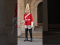 Honouring the majestic King's Guard with this Shorts video #kingsguard