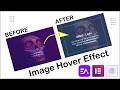 NO CODE | How to Create Image Hover Effect in Elementor