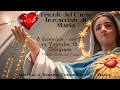 TRIONFO DEL CUORE IMMACOLATO DI MARIA