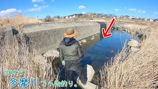 この場所ヤバっ！魚が湧いてくる！！     羽村市の多摩川で小物釣り♪