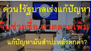 รัฐบาลเร่งหาทางออก เจรจาให้จีนซื้อเพิ่ม หาตลาดใหม่ แก้ปัญหาราคามันสำปะหลังตกต่ำ