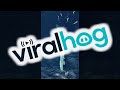 Amazing Aerial View of Whale Feeding || ViralHog