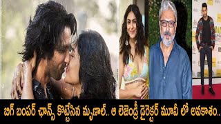 బిగ్ బంపర్ ఛాన్స్ కొట్టేసిన మృణాల్.. ఆ లెజెండ్రీ డైరెక్టర్ మూవీ లో అవకాశం..#tollywood #mrunalthakur